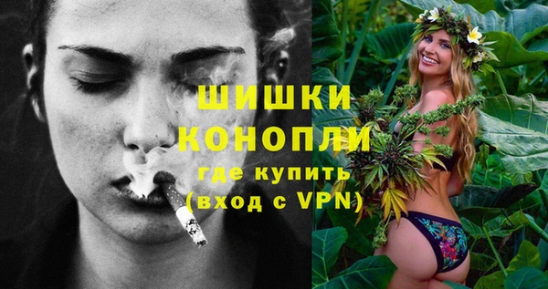 шишки Инсар