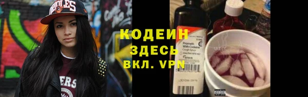 шишки Инсар