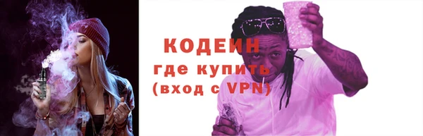 шишки Инсар