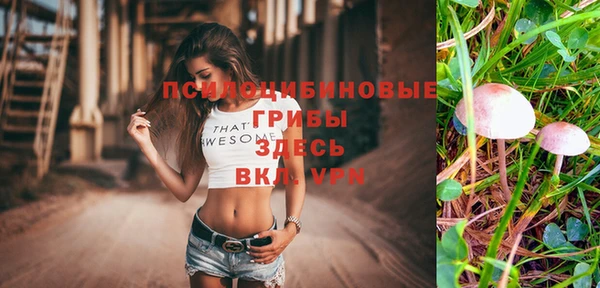 гашик Иннополис