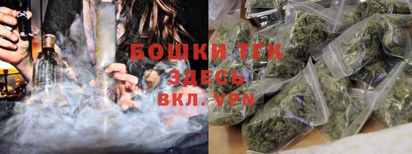 шишки Инсар