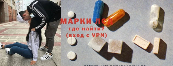 шишки Инсар