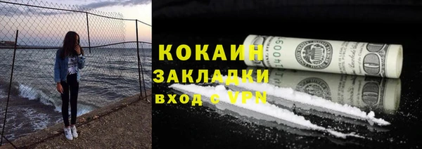 шишки Инсар