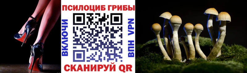 Галлюциногенные грибы Cubensis  Купить закладки  Миньяр 